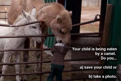 best funny pic with joke caption