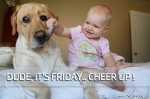 friday-cheer-up-dog