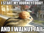 funny animals joke pics