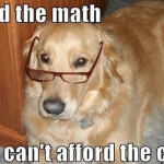 funny-dogs-pics