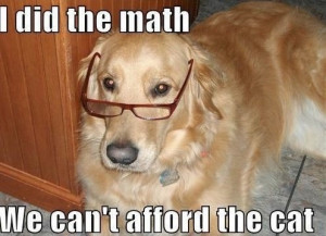 funny-dogs-pics