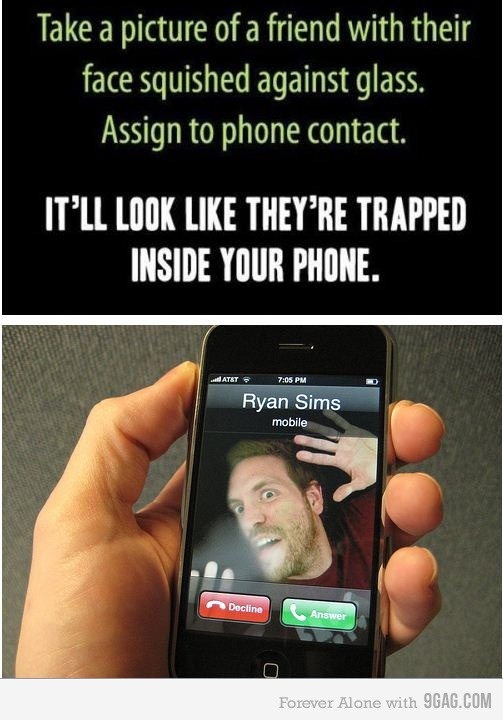 funny funny picture