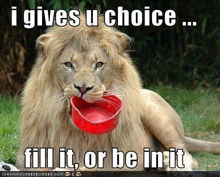 Funny Lion Jokes