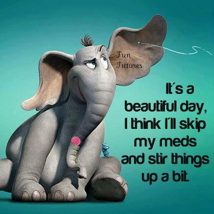 funny pic with quote