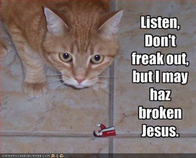 funny-pictures-cat funny-pictures-cat