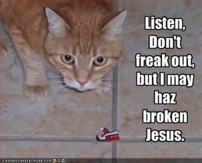 funny-pictures-cat-400x324.jpg