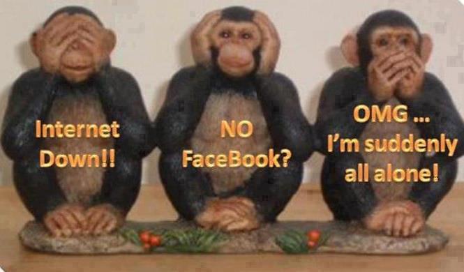 hilarious animals hilarious animals