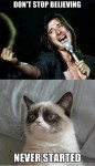 hilarious cat pic 15