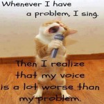 hilarious cat pic3