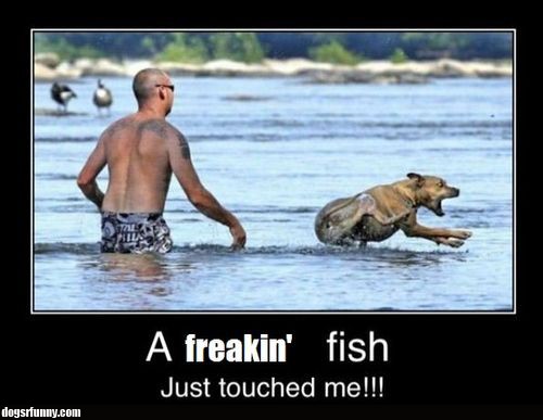 hilarious pic 21