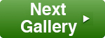 next gallery arrow2 next gallery