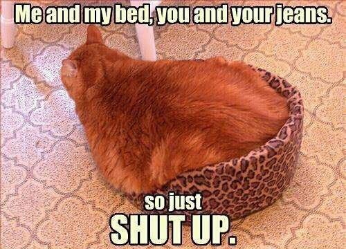 overweight humor overweight humor