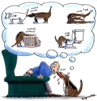 http://www.bestfunnyjokes4u.com/wp-content/uploads/2013/02/funny-dog-cartoon.jpeg