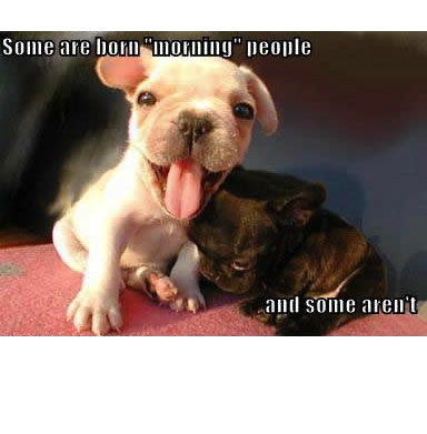 funny pic joke