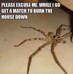 crazy ass humor
