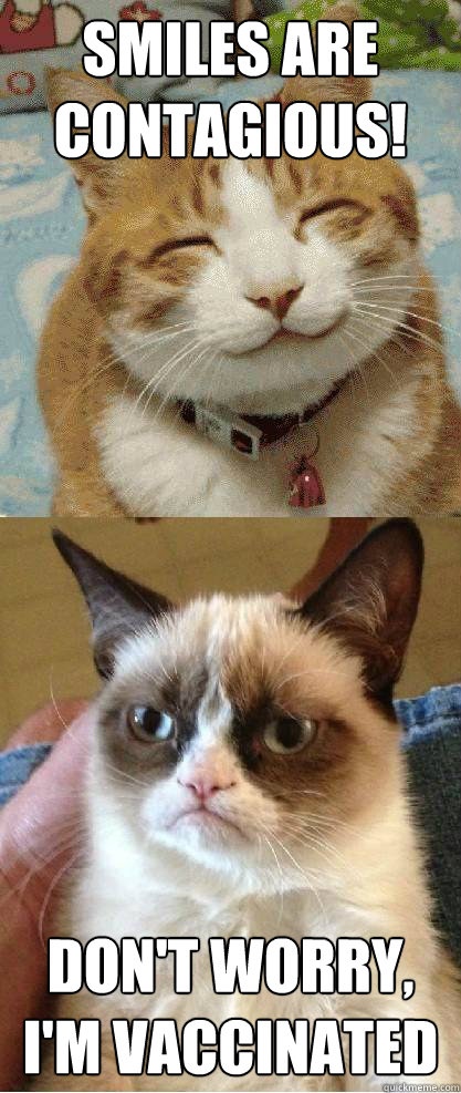 grumpy cat joke pic