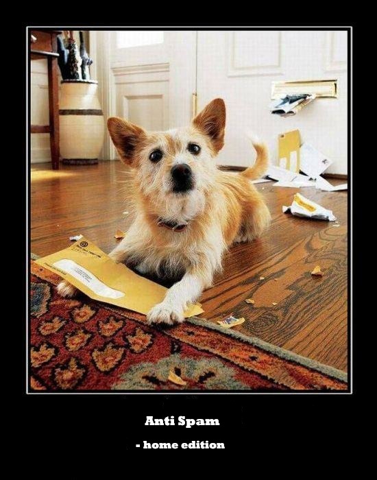 hilarious dog joke pic