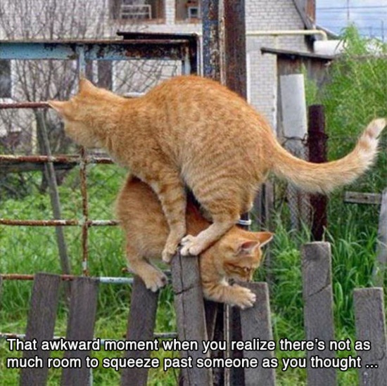 that_awkward_moment_when