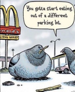 best funny cartoon joke