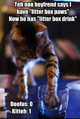 lolcat joke pic lolcat joke pic