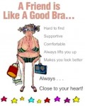 a friend is like a good bra