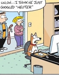 funny lmao cartoon