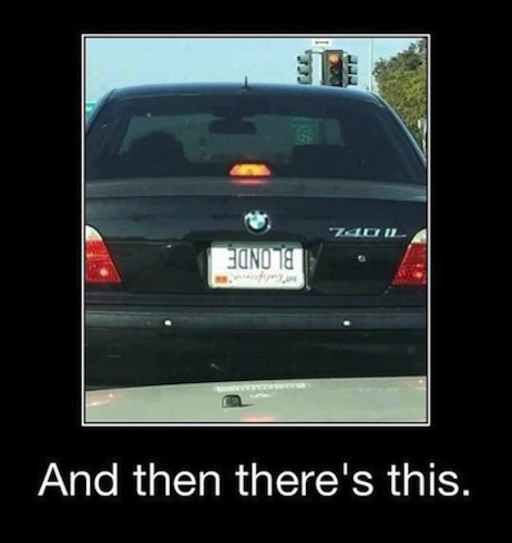 funny-pictures funny-pictures