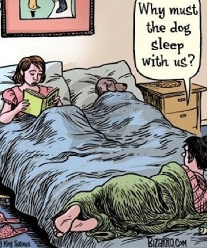 funny relationship joke cartoon