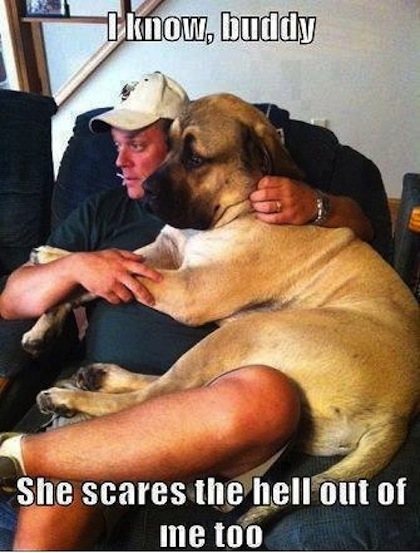 lol picture joke
