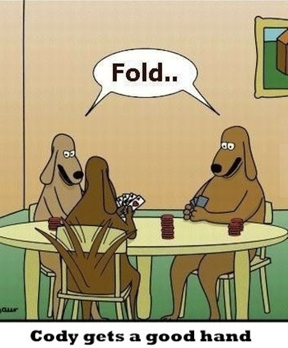 omg funny cartoon joke