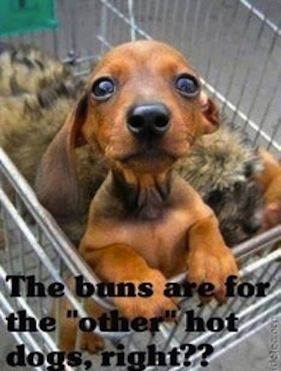 rofl funny pic
