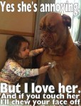 so funny dog pic