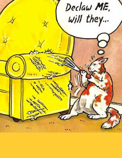 funny cartoon joke 13
