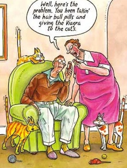 funny cartoon joke 27