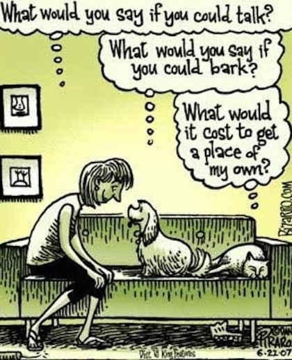 funny cartoon joke 8