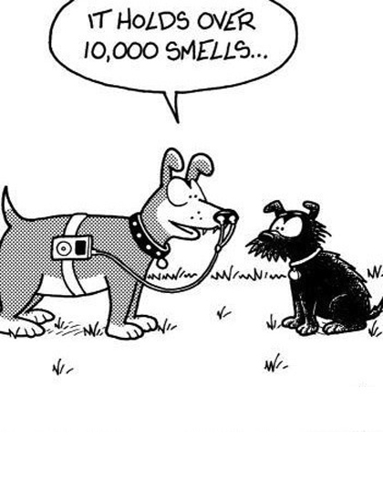 funny joke pic 18