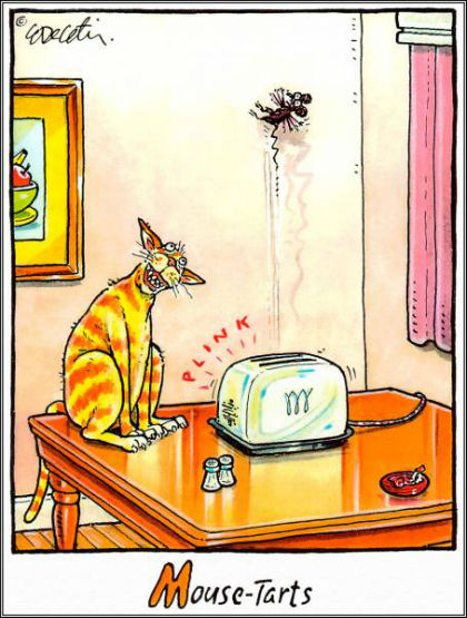 funny joke pic 23 funny joke pic 23