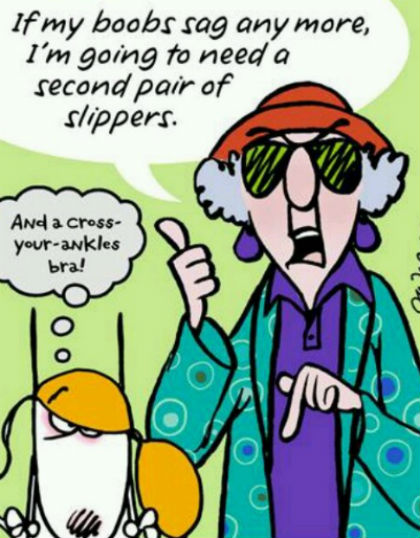 funny joke pic 24 funny joke pic 24