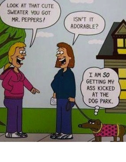 funny pic 4