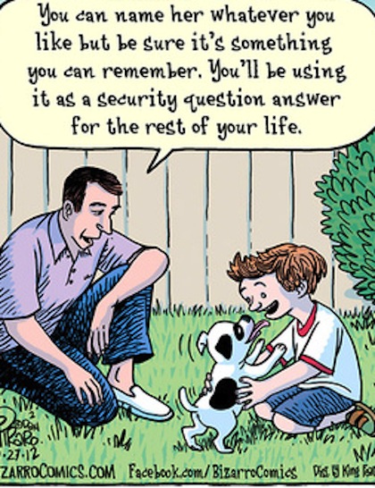 joke pic 6