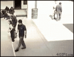 funny gif