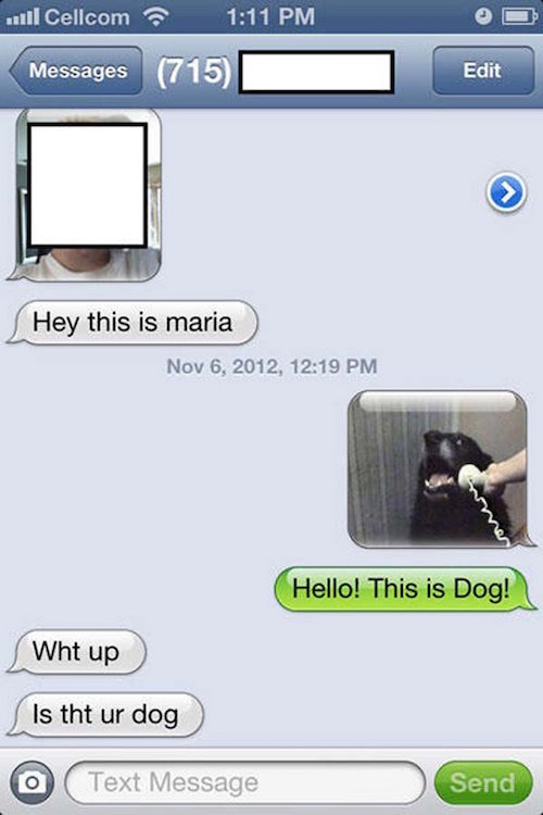 funny texting fails