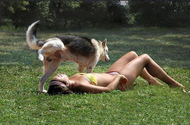 Dogs and sunbathing don't mix.