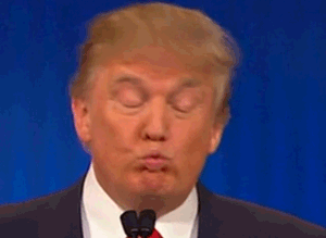 Donald funny gif