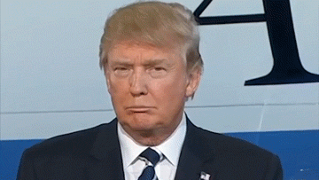Trump Funny Faces